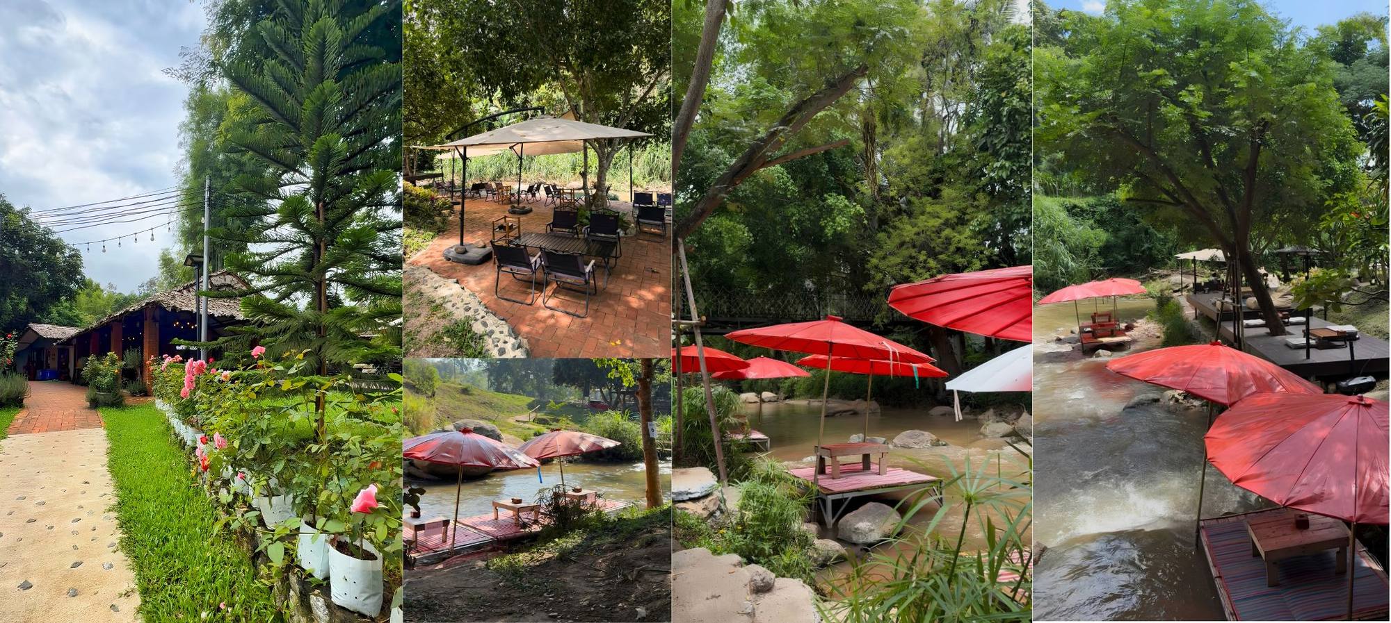 บรรยากาศร้านริมธารา แม่ริม แพร่มแดงกลางลำธาร ลานนั่งริมน้ำ และทางเดินสวนดอกไม้